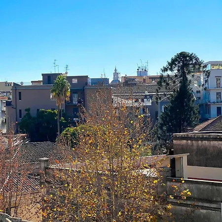 Toctoc - Big With Two In Center Catania